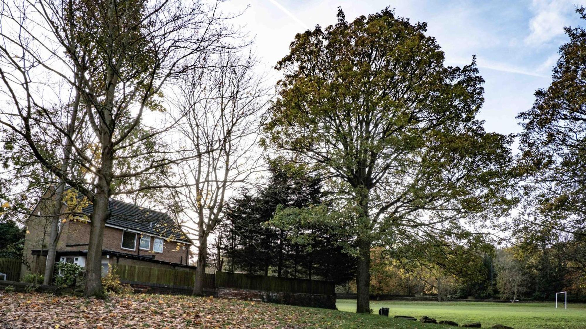 Cross Lane Cottage Pudsey Bagian luar foto